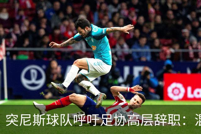 突尼斯球队呼吁足协高层辞职：混乱、治理不善、腐败、缺乏透明度